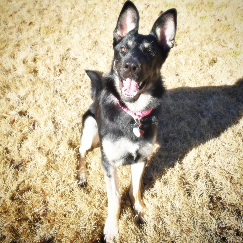 Lilah