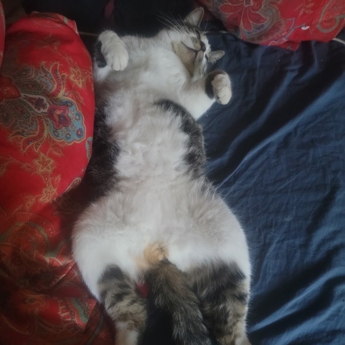 Billy