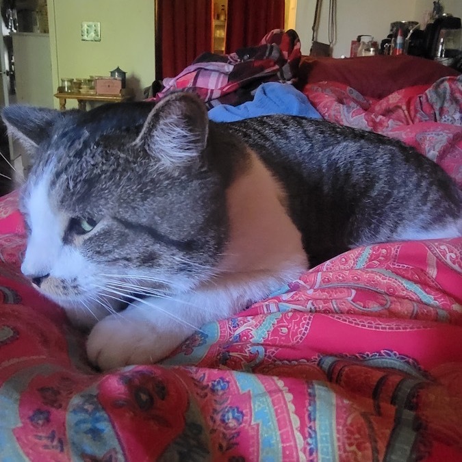 Billy