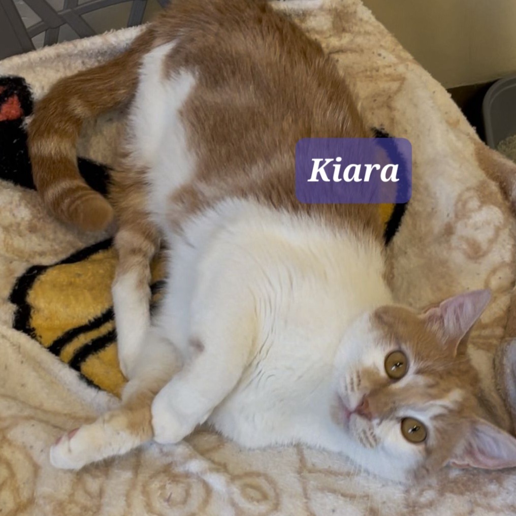 Kiara