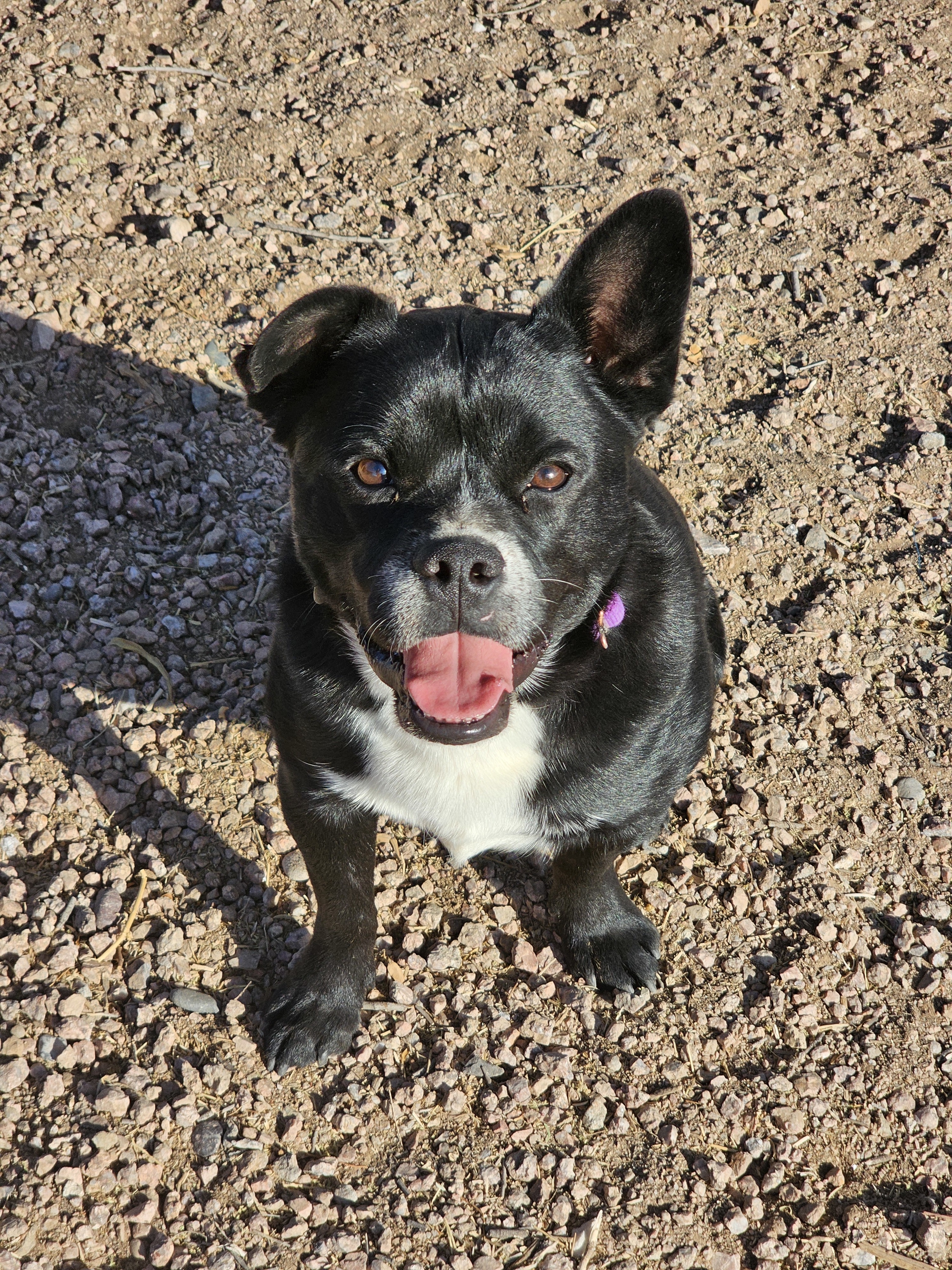 Roscoe