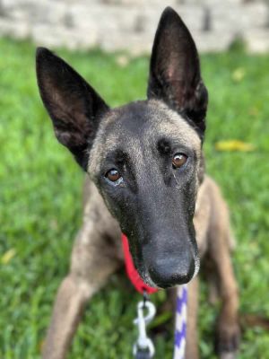 Sage - Located in TX