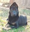 Athena photo 2