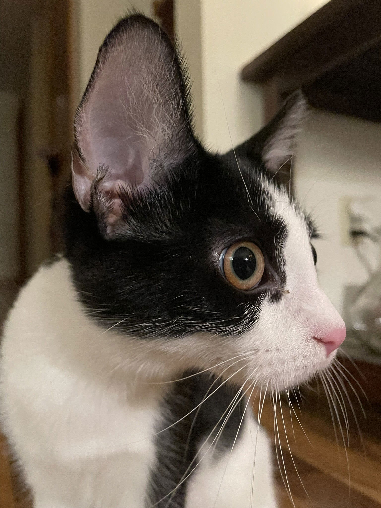 Minni