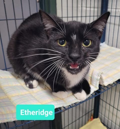 Etheridge