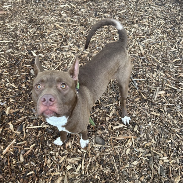 Shadow- Call 402-441-4490 To Meet Me!