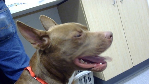 Shadow- Call 402-441-4490 To Meet Me!