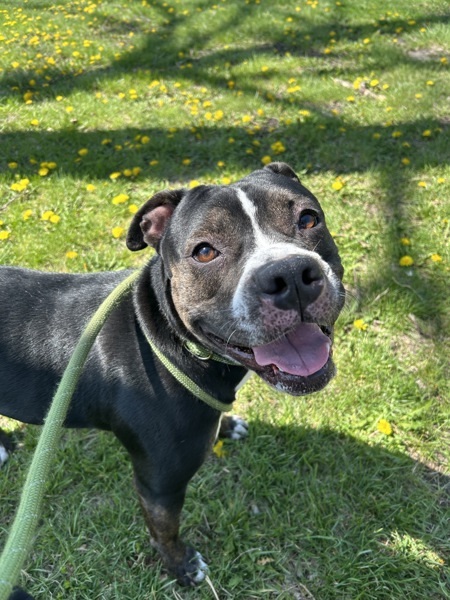 Gigi Call 402-441-4490 To Meet!