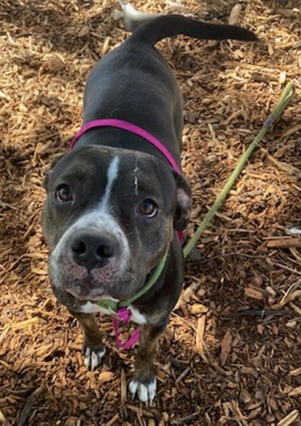 Gigi Call 402-441-4490 To Meet!