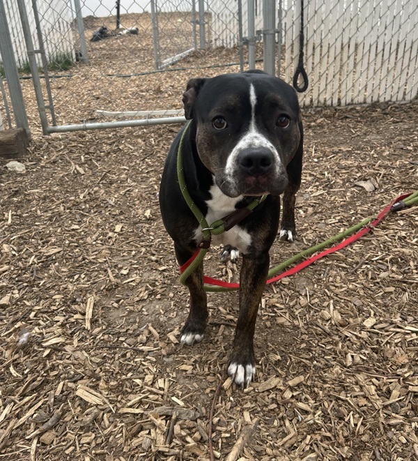 Gigi Call 402-441-4490 To Meet!