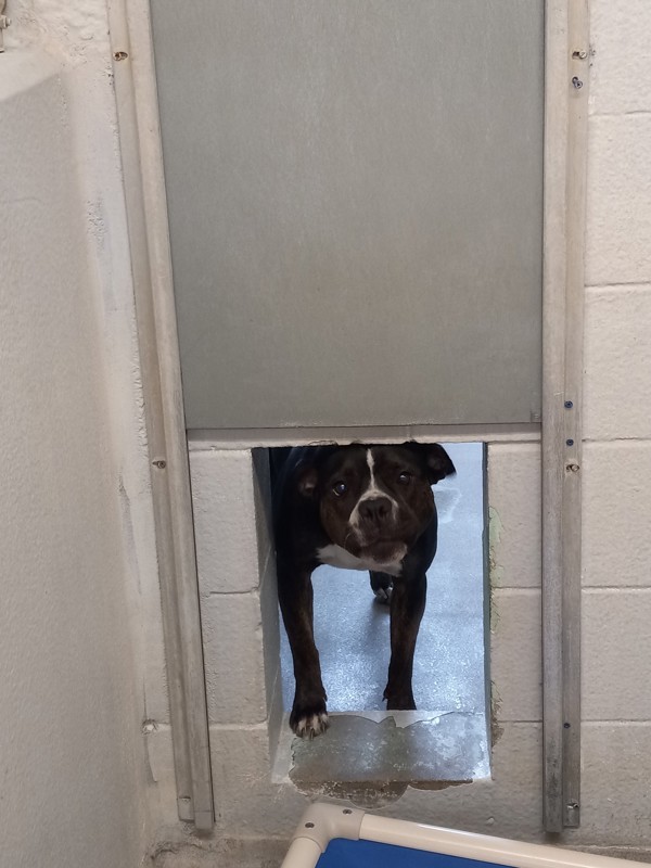 Gigi Call 402-441-4490 To Meet!