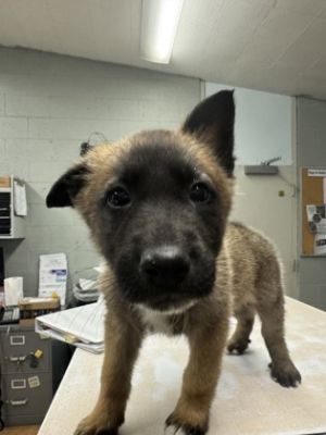 Benny