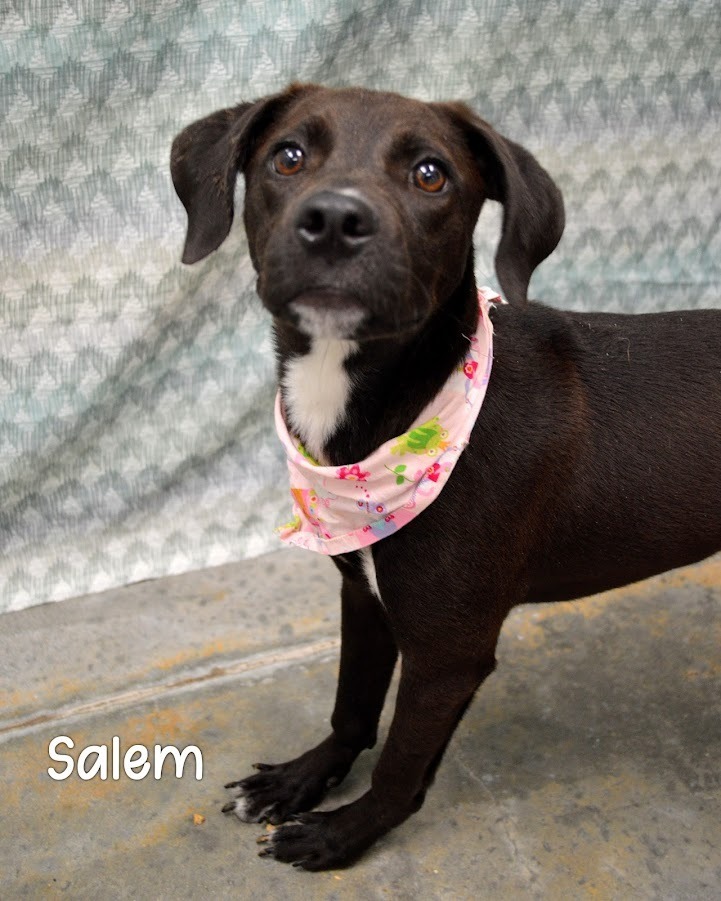 Salem