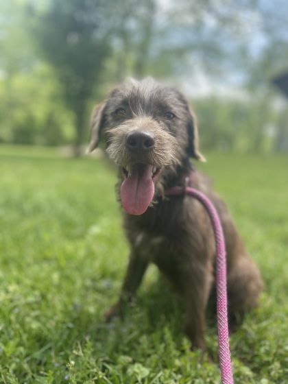 Barkley