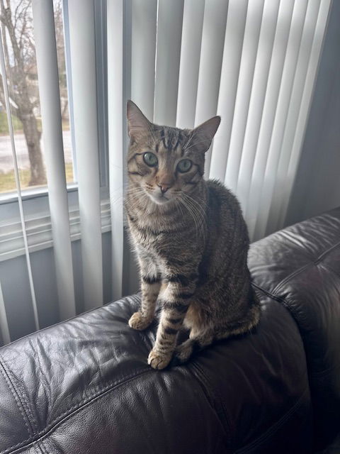Kiki