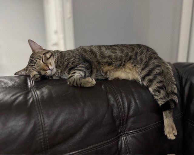 Kiki