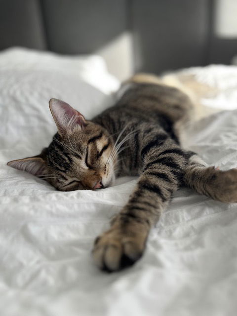 Kiki