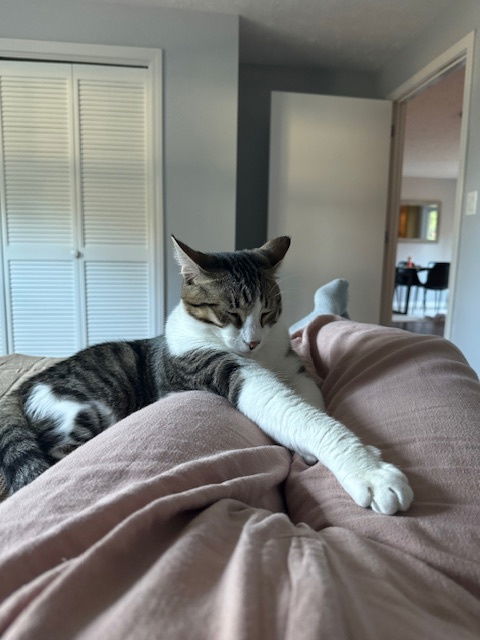 Zuzu