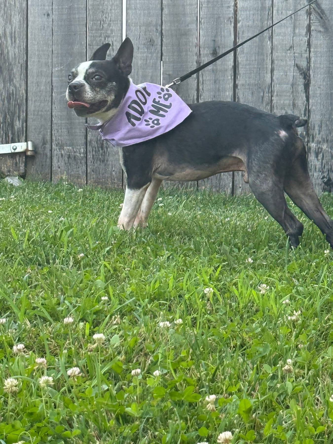 Jax