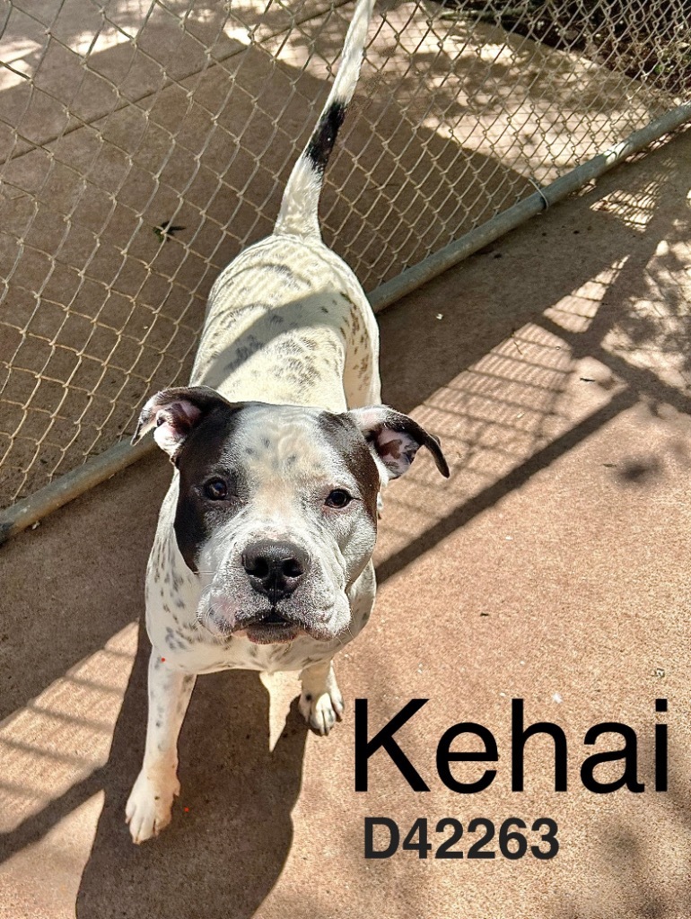 Kehai
