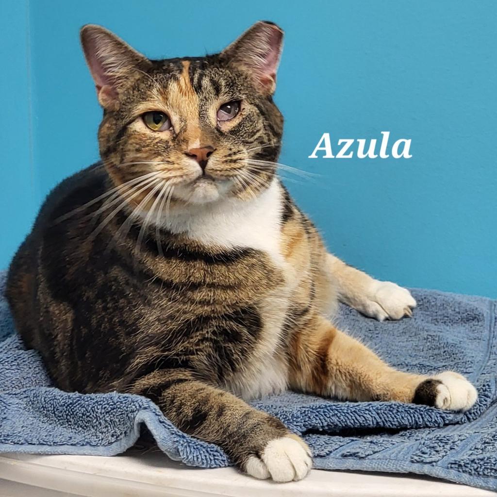 Azula