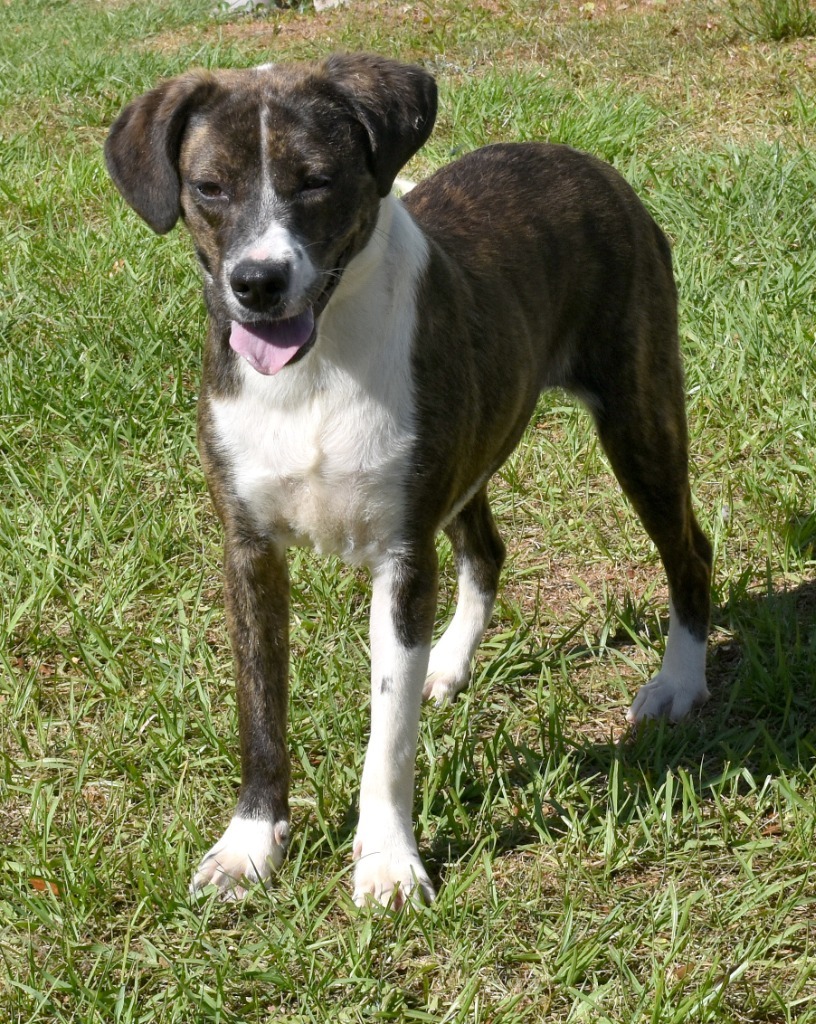 Fiona