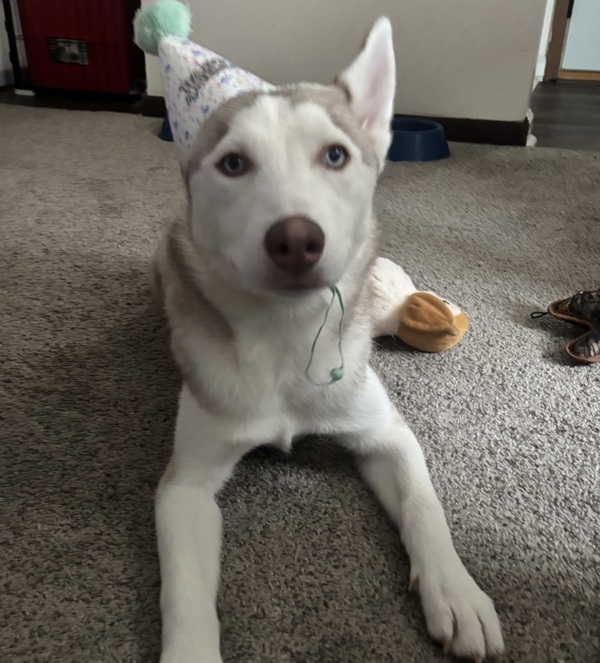 Maya