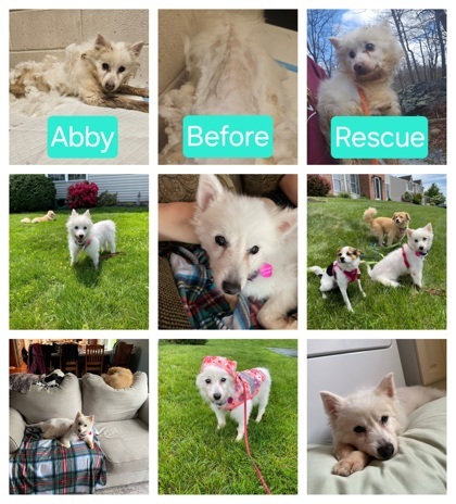 Abby Gabby