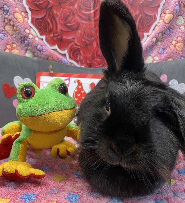 Eloise