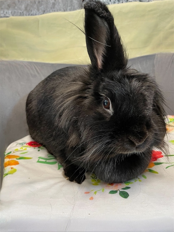 Eloise
