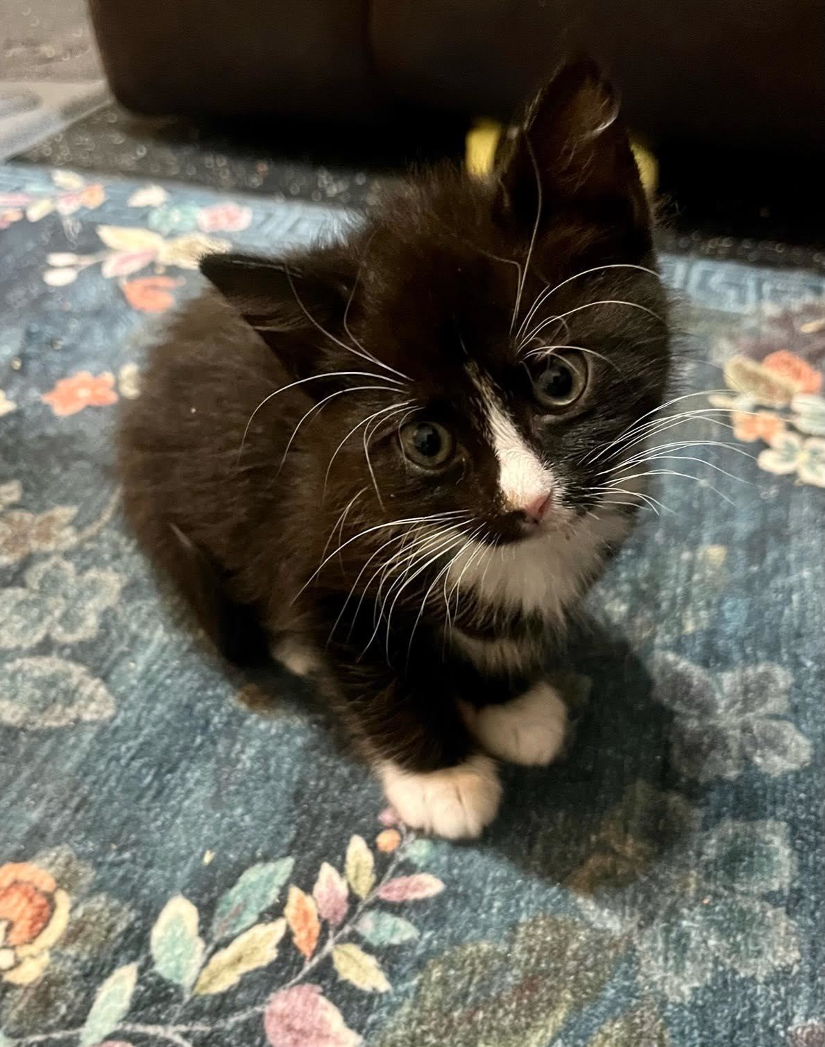 Matilda