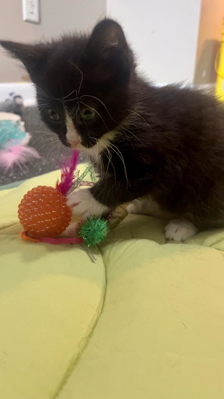 Matilda