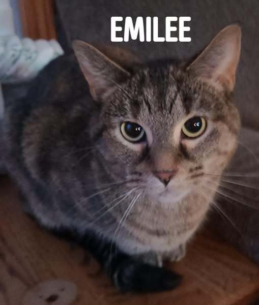 Emilee