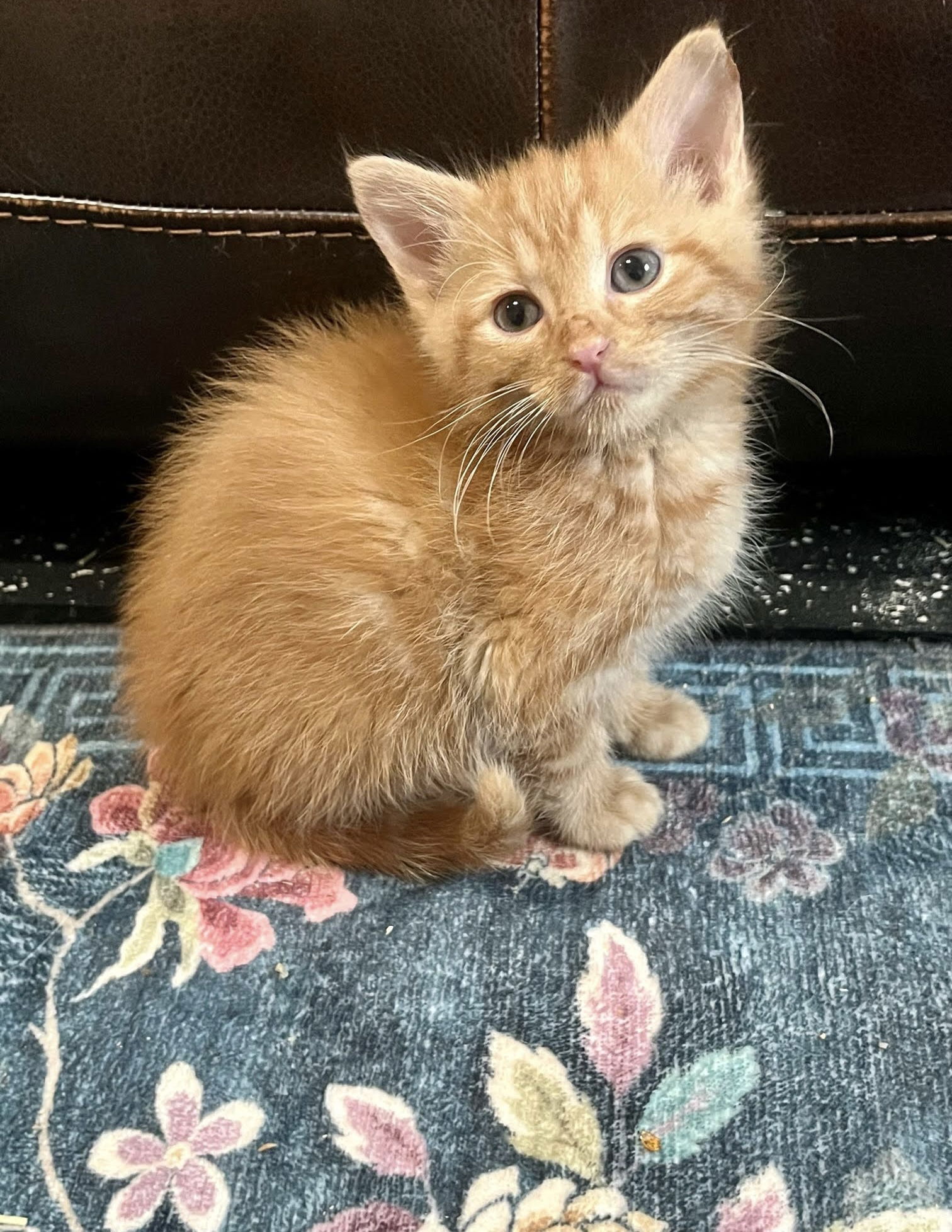 Jack