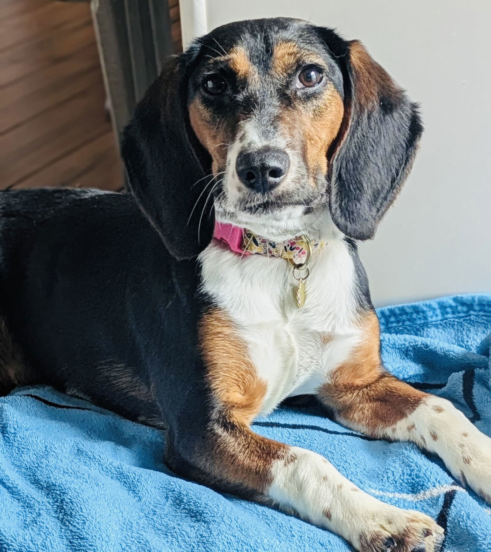 Peanut