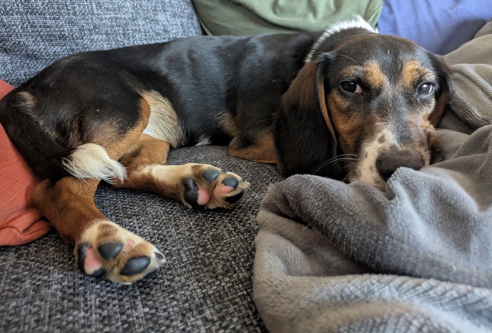Peanut