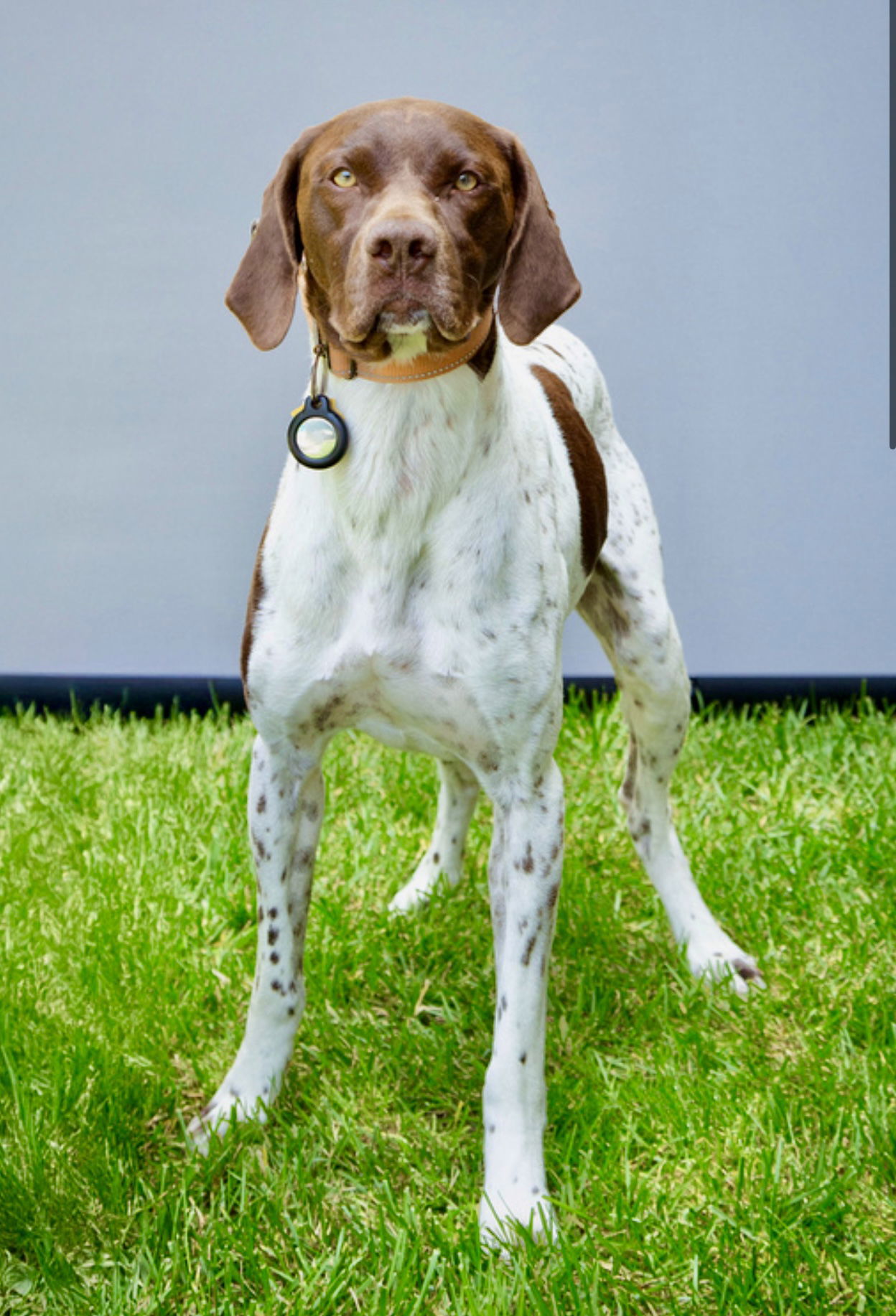 Charlie
