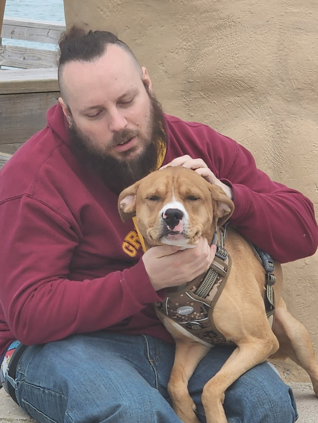 Cayenne AKA Ranger Photo