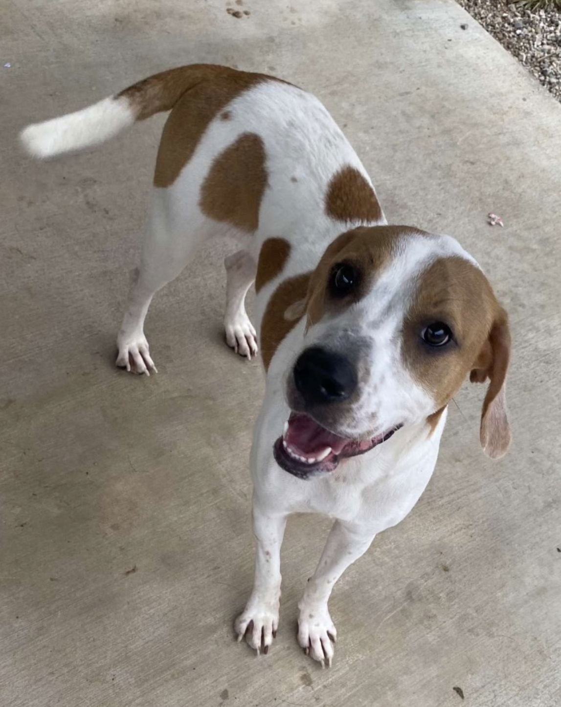 Pearl *LOCAL* MEET ME!