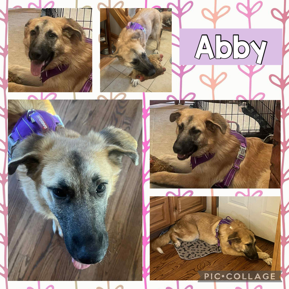 Abby