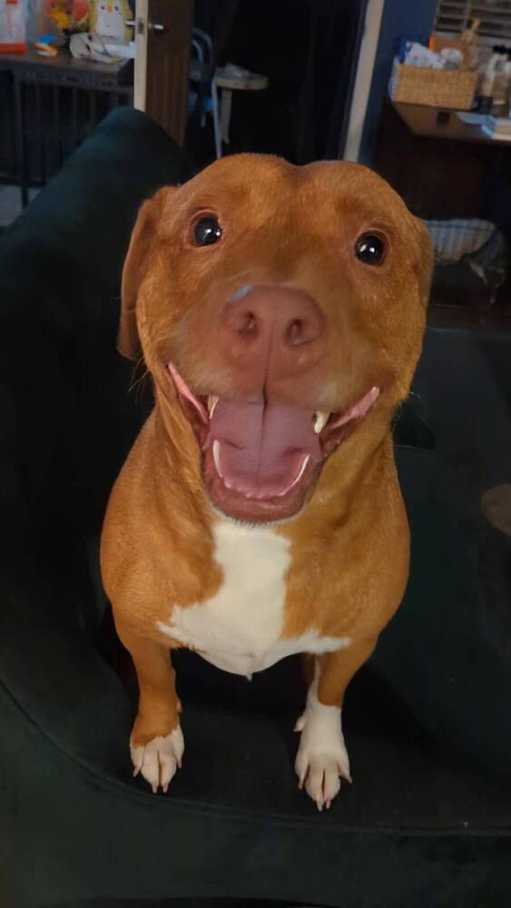 Alonzo