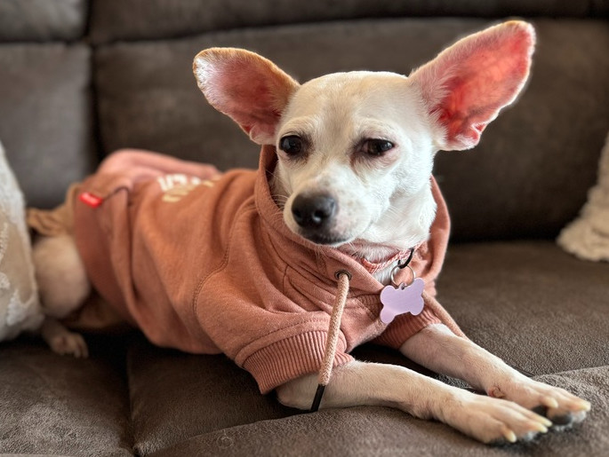 Paloma