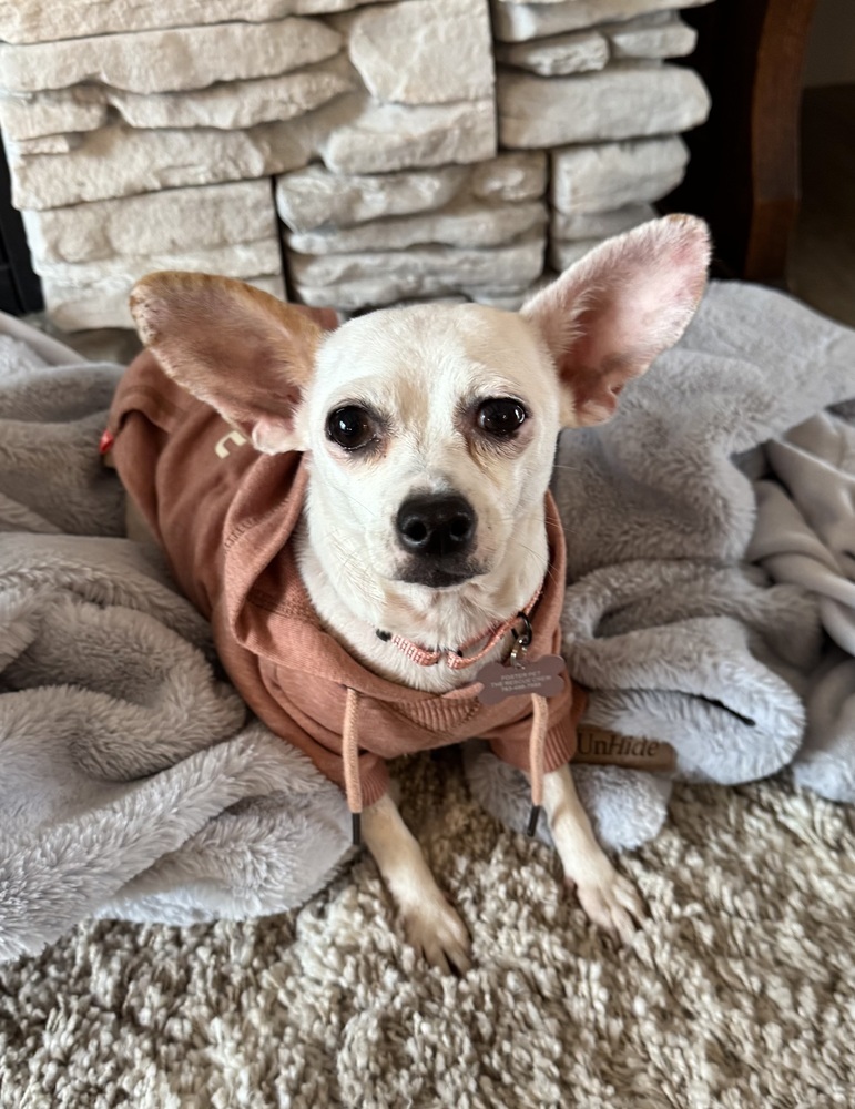 Paloma