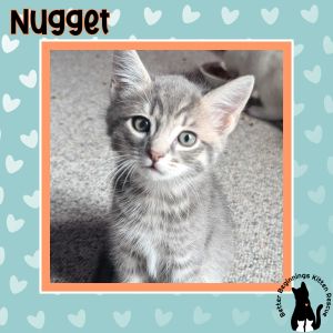 Nugget