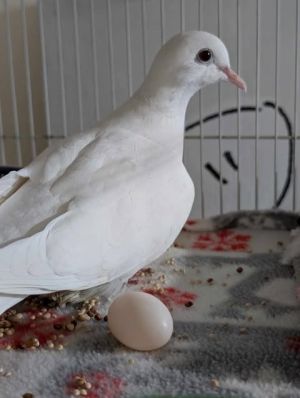 Spoon has an unusual name only because she has an unusual way of drinking water She just really re