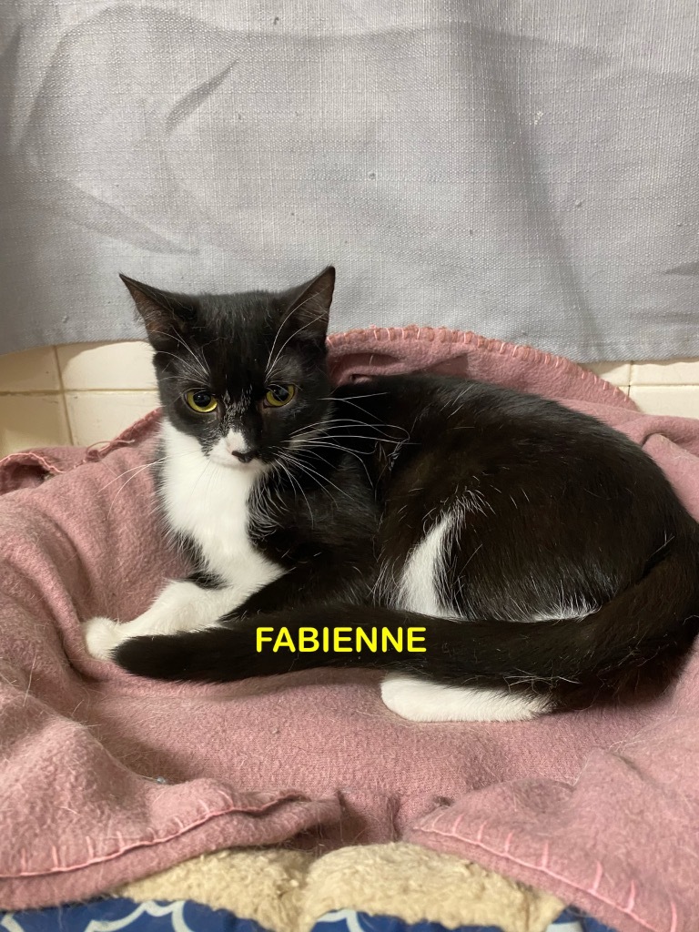 Fabienne 66