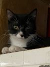 Fabienne 66 photo 2