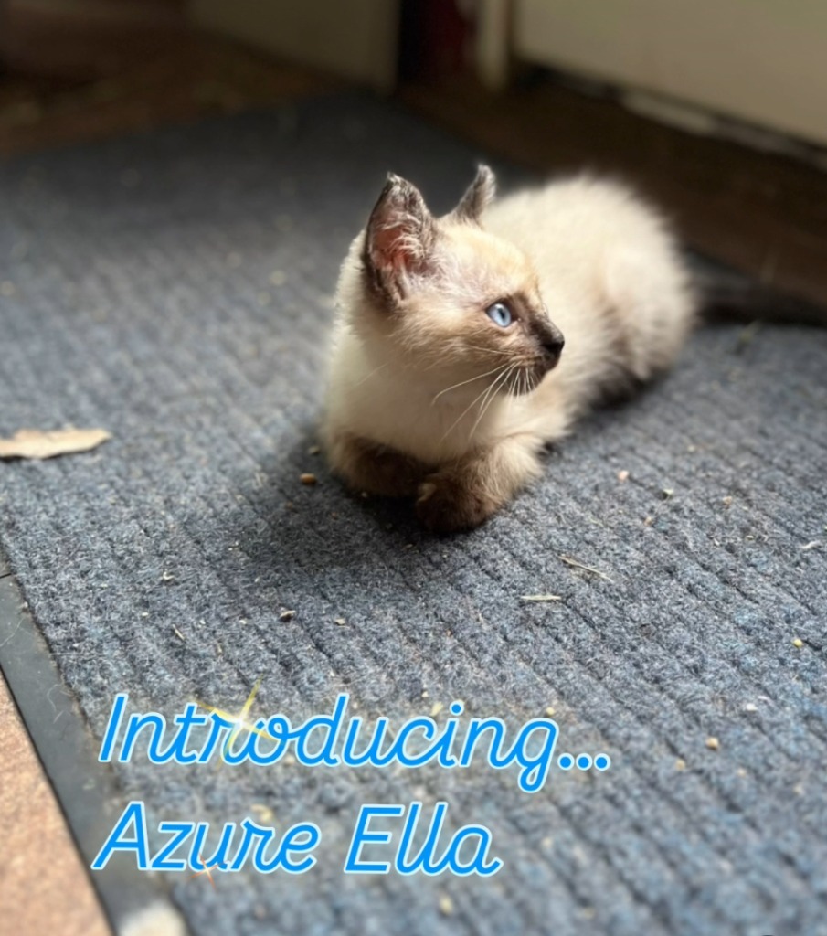 Azure Ella