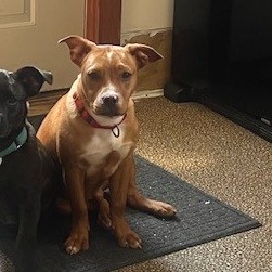 Opie