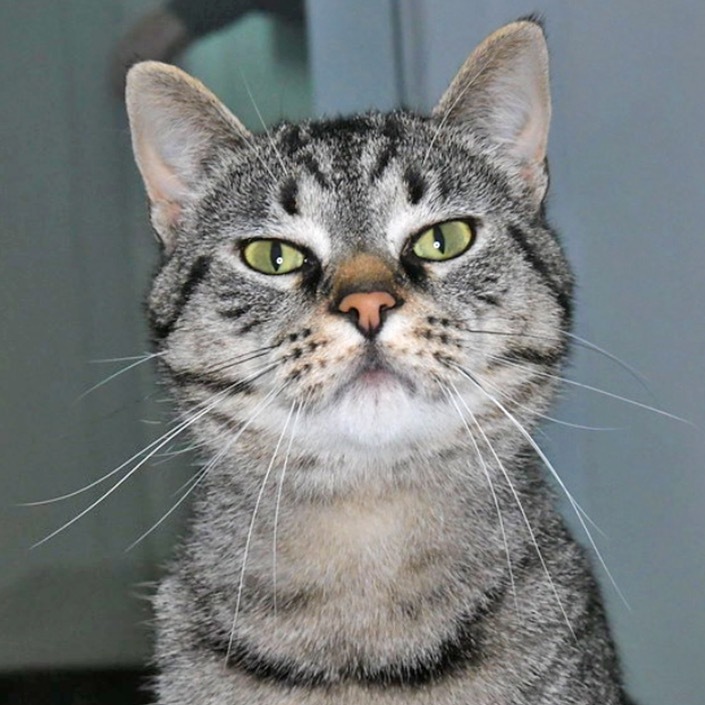 Felix